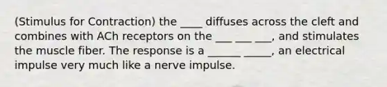 (Stimulus for Contraction) the ____ diffuses across the cleft and combines with ACh receptors on the ___ ___ ___, and stimulates the muscle fiber. The response is a ______ _____, an electrical impulse very much like a nerve impulse.