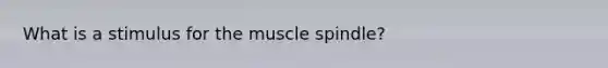 What is a stimulus for the muscle spindle?