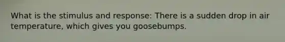 What is the stimulus and response: There is a sudden drop in air temperature, which gives you goosebumps.