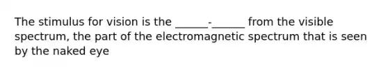 The stimulus for vision is the ______-______ from the visible spectrum, the part of the electromagnetic spectrum that is seen by the naked eye