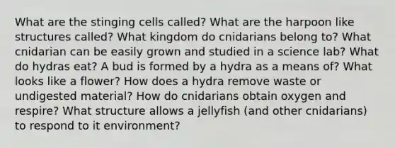 What are the stinging cells called? What are the harpoon like structures called? What kingdom do cnidarians belong to? What cnidarian can be easily grown and studied in a science lab? What do hydras eat? A bud is formed by a hydra as a means of? What looks like a flower? How does a hydra remove waste or undigested material? How do cnidarians obtain oxygen and respire? What structure allows a jellyfish (and other cnidarians) to respond to it environment?