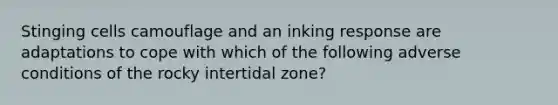 Stinging cells camouflage and an inking response are adaptations to cope with which of the following adverse conditions of the rocky intertidal zone?