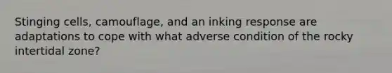 Stinging cells, camouflage, and an inking response are adaptations to cope with what adverse condition of the rocky intertidal zone?