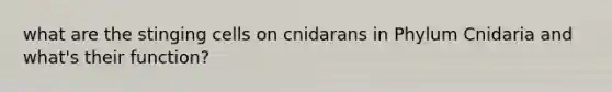 what are the stinging cells on cnidarans in Phylum Cnidaria and what's their function?