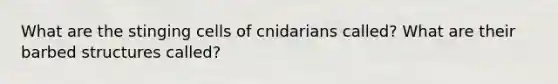 What are the stinging cells of cnidarians called? What are their barbed structures called?