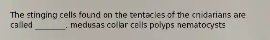 The stinging cells found on the tentacles of the cnidarians are called ________. medusas collar cells polyps nematocysts