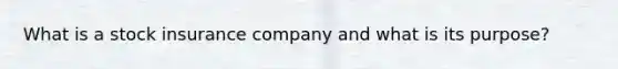 What is a stock insurance company and what is its purpose?