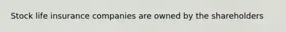 Stock life insurance companies are owned by the shareholders