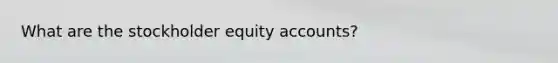 What are the stockholder equity accounts?