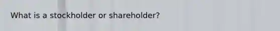 What is a stockholder or shareholder?