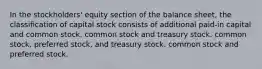 In the stockholders' equity section of the balance sheet, the classification of capital stock consists of additional paid-in capital and common stock. common stock and treasury stock. common stock, preferred stock, and treasury stock. common stock and preferred stock.