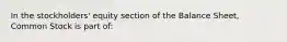 In the stockholders' equity section of the Balance Sheet, Common Stock is part of: