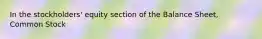 In the stockholders' equity section of the Balance Sheet, Common Stock