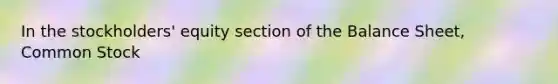 In the stockholders' equity section of the Balance Sheet, Common Stock