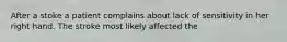 After a stoke a patient complains about lack of sensitivity in her right hand. The stroke most likely affected the