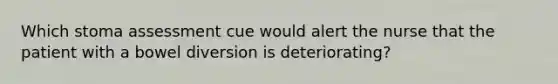 Which stoma assessment cue would alert the nurse that the patient with a bowel diversion is deteriorating?