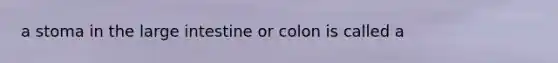 a stoma in the large intestine or colon is called a