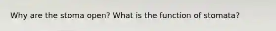 Why are the stoma open? What is the function of stomata?