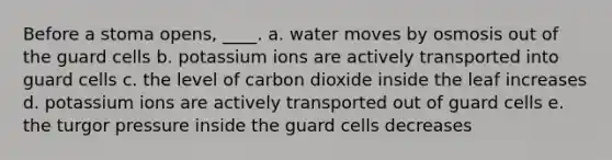 Before a stoma opens, ____. a. water moves by osmosis out of the guard cells b. potassium ions are actively transported into guard cells c. the level of carbon dioxide inside the leaf increases d. potassium ions are actively transported out of guard cells e. the turgor pressure inside the guard cells decreases