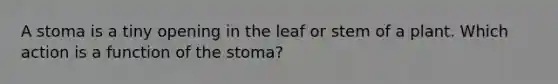 A stoma is a tiny opening in the leaf or stem of a plant. Which action is a function of the stoma?