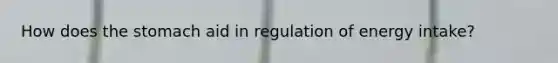 How does the stomach aid in regulation of energy intake?