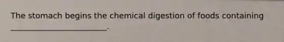 The stomach begins the chemical digestion of foods containing ________________________.