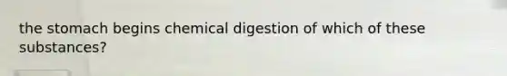 the stomach begins chemical digestion of which of these substances?