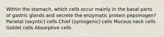 Within the stomach, which cells occur mainly in the basal parts of gastric glands and secrete the enzymatic protein pepsinogen? Parietal (oxyntic) cells Chief (zymogenic) cells Mucous neck cells Goblet cells Absorptive cells