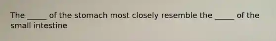 The _____ of the stomach most closely resemble the _____ of the small intestine