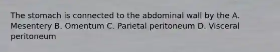 The stomach is connected to the abdominal wall by the A. Mesentery B. Omentum C. Parietal peritoneum D. Visceral peritoneum