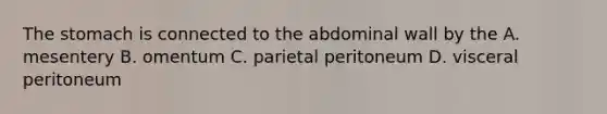 The stomach is connected to the abdominal wall by the A. mesentery B. omentum C. parietal peritoneum D. visceral peritoneum