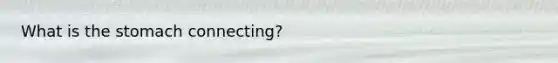 What is the stomach connecting?