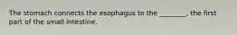 The stomach connects the esophagus to the ________, the first part of the small intestine.