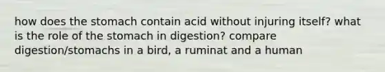 how does the stomach contain acid without injuring itself? what is the role of the stomach in digestion? compare digestion/stomachs in a bird, a ruminat and a human