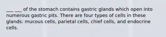 ___ ___ of <a href='https://www.questionai.com/knowledge/kLccSGjkt8-the-stomach' class='anchor-knowledge'>the stomach</a> contains gastric glands which open into numerous gastric pits. There are four types of cells in these glands: mucous cells, parietal cells, chief cells, and endocrine cells.