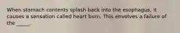 When stomach contents splash back into the esophagus, it causes a sensation called heart burn. This envolves a failure of the _____.