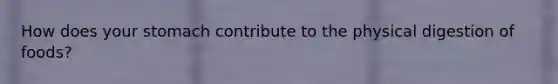 How does your stomach contribute to the physical digestion of foods?