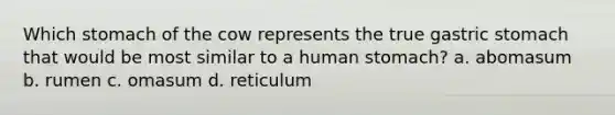 Which stomach of the cow represents the true gastric stomach that would be most similar to a human stomach? a. abomasum b. rumen c. omasum d. reticulum