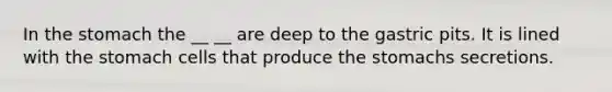 In the stomach the __ __ are deep to the gastric pits. It is lined with the stomach cells that produce the stomachs secretions.