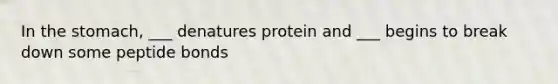 In the stomach, ___ denatures protein and ___ begins to break down some peptide bonds