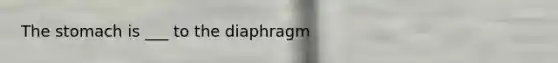 <a href='https://www.questionai.com/knowledge/kLccSGjkt8-the-stomach' class='anchor-knowledge'>the stomach</a> is ___ to the diaphragm