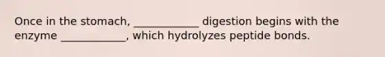 Once in the stomach, ____________ digestion begins with the enzyme ____________, which hydrolyzes peptide bonds.