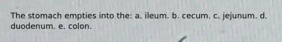The stomach empties into the: a. ileum. b. cecum. c. jejunum. d. duodenum. e. colon.