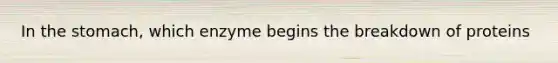 In the stomach, which enzyme begins the breakdown of proteins