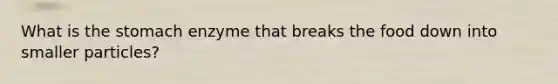 What is the stomach enzyme that breaks the food down into smaller particles?