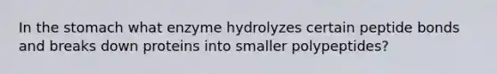 In the stomach what enzyme hydrolyzes certain peptide bonds and breaks down proteins into smaller polypeptides?