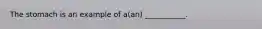 The stomach is an example of a(an) ___________.