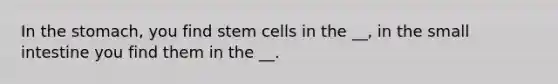 In the stomach, you find stem cells in the __, in the small intestine you find them in the __.