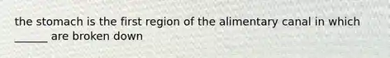 the stomach is the first region of the alimentary canal in which ______ are broken down