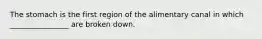 The stomach is the first region of the alimentary canal in which ________________ are broken down.